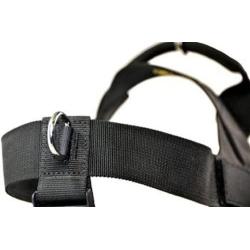 Dean & Tyler DT Universal No Pull Dog Harness with Adjustable Straps, Black