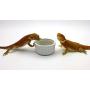 Carolina Custom Cages Superworm Bowls, 2 Each