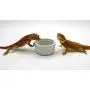 Carolina Custom Cages Superworm Bowls, 2 Each
