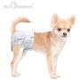 Paw Inspired Disposable Dog Diapers | Female Dog Diapers Ultra Protection Disposable Puppy Diapers Female | Diapers for Dogs in Heat, Period, Excitable Urination, or Incontinence