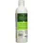 Biokleen Bac-Out Stain+Odor Remover, 16 Oz, 16 Fl. Oz Biokleen Bac-Out Stain+Odor Remover, 16 Oz, 16 Fl. Oz