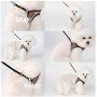 PETTAIL Dog Harness No Pulling Easy Adjustable Puppy Vest Suede Leather Harness Handmade by Korean Comfortable Neck for Small Medium Size Dogs