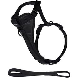 Amazon Basics Dog Harness Leash