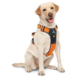 Canple Dog Harness no-Pull Adjustable Reflective Oxford Leather Soft pet Outdoor Vest with 2 Metal Leash Clips and Handle Easy to wear for Medium, Large, X-Large Dogs