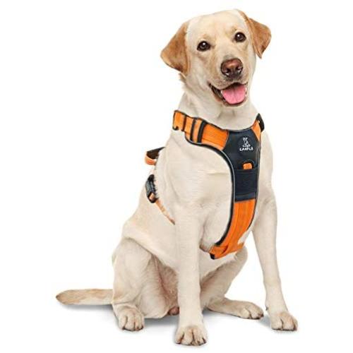 Canple Dog Harness no-Pull Adjustable Reflective Oxford Leather Soft pet Outdoor Vest with 2 Metal Leash Clips and Handle Easy to wear for Medium, Large, X-Large Dogs