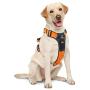Canple Dog Harness no-Pull Adjustable Reflective Oxford Leather Soft pet Outdoor Vest with 2 Metal Leash Clips and Handle Easy to wear for Medium, Large, X-Large Dogs