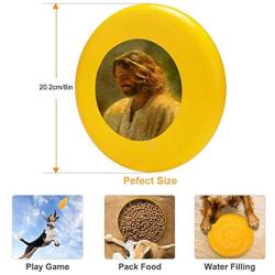Pet Frisbee Flying Disc Dog Toy - Multifunction Joy of The Lord Greg Olsen