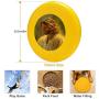 Pet Frisbee Flying Disc Dog Toy - Multifunction Joy of The Lord Greg Olsen