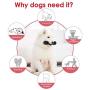 PETIZER Dog Squeaky Toys for Aggressive Chewers | Tough Toothbrush Puppy Chew Toy | Nearly Indestructible Rubber Toys for Training, Teeth Cleaning, Playing and Chewing for Medium & Large Breeds Black