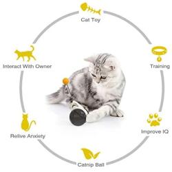 LZJDS Balance Car Design Tumbler Cat Toy Teaser Toys for Indoor Kitten Cats Ball Kitten Reat Puzzle Balanced Chasing Interactive Swing Chaser Turntable Pet Toy Pet Supplies,White,1