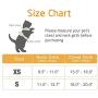 rabbitgoo Cat Harness and Leash for Walking, Escape Proof Soft Adjustable Vest Harnesses for Cats, Easy Control Breathable Reflective Strips Jacket, Purple, S(Chest: 18'' - 20'')