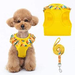 BINGPET Cat Harness and Puppy Harness with Leash Set - Soft Mesh Yellow Dog Vest Harness with Sunflower Pattern, for Small Dogs Cats