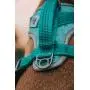 Embark Sports Dog Harness, Light and Breathable Design - Easy On and Off, No Pull Training, Size Adjustable, Non Choke with Handle for Control Embark Sports Dog Harness, Light and Breathable Design - Easy On and Off, No Pull Training, Size Adjustable, Non Choke with Handle for Control