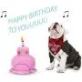 2 Pieces Birthday Girl Dog Bandana Dog Birthday Scarf and Birthday Cake Squeaky Dog Toy Birthday Party Supplies for Big Medium Large Dogs 2 Pieces Birthday Girl Dog Bandana Dog Birthday Scarf and Birthday Cake Squeaky Dog Toy Birthday Party Supplies for Big Medium Large Dogs