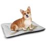 DayDayFun Going Away Party Cute Pet Mat Time to Say Goodbye Hand Writing Ink Pen and Paper Artwork Print Pet Mats are Not Sticky Pale Yellow Black