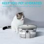 XYUE Cat Water Fountain, 2L Pet Water Dispenser with Clear Water Tank, Automatic USB Powered Water Feeder with Carbon Filtration for Dogs, Ultra-Quite Pet Water Bowl