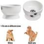 Ceramic Raised Cat Bowls, Elevated Food Bowls or Water Bowls, Cat Food Bowls，Stress Free, Backflow Prevention, Ceramic Cat Water Bowl No-Spill