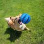 MTOM Best Bite-Resistant Dog Molar Ball, Dog Treat Toy Ball, Used for IQ Training of Big and Small Dogs, Dog Tooth Cleaning, Playing, Chewing, Interaction (Blue)