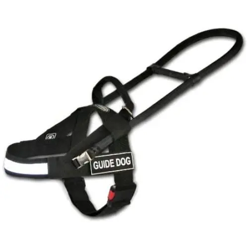 Dean and Tyler Guide Light Nickel Hardware Nylon Dog Harness, Black/Reflective, Medium - Fits Girth: 29-Inch to 39-Inch, Chest Size: 22-Inch Max Dean and Tyler Guide Light Nickel Hardware Nylon Dog Harness, Black/Reflective, Medium - Fits Girth: 29-Inch to 39-Inch, Chest Size: 22-Inch Max