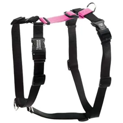Blue-9 Pet Products Buckle-Neck Balance Harness, 6-Point Adjustable No-Pull Harness, Ideal for Dog Training, Made in The USA, Medium/Large, Hot Pink Blue-9 Pet Products Buckle-Neck Balance Harness, 6-Point Adjustable No-Pull Harness, Ideal for Dog Training, Made in The USA, Medium/Large, Hot Pink