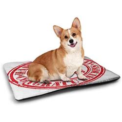 Nomorer Dog Mat 21st Birthday Waterproof and Warm Pet Mattress Abstract Sun Beams Backdrop Party Delicious Cupcake with Frosting Image Red and Orange