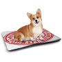 Nomorer Dog Mat 21st Birthday Waterproof and Warm Pet Mattress Abstract Sun Beams Backdrop Party Delicious Cupcake with Frosting Image Red and Orange