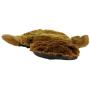 Hyper Pet Skinz Super Squeaker Beaver Dog Toy
