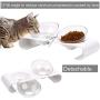 Legendog Cat Bowls,15°Tilted Cat Food Bowl Double Cat Dishes, Cat Feeder Cat Feeding Bowl Raised with Stand, Cat Food Water Bowl for Cats and Small Dog