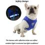 TBRAND Soft Padded Dog Vest Harness and Leash Set, No Pull Reflective Adjustable Pet Vest Harnesses for Puppy Kitten, Soft Mesh Chest Harness for Pet Kitten Puppy Rabbit