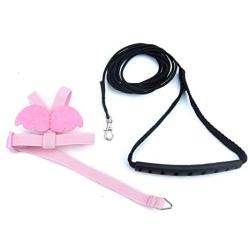 Alfie Pet - Karly Harness and Leash Set for Bird