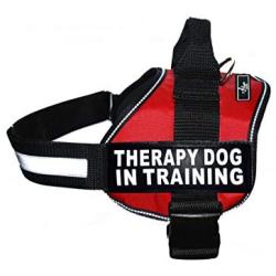 Therapy Dog in Training Nylon Dog Vest Harness. Purchase Comes with 2 Reflective Therapy Dog in Training Removable Patches. Please Measure Your Dog Before Ordering