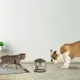 Stainless Steel Elevated Pet Bowl with Stand for Dogs and Cats-Raised Feeder for Food/Water With Removeable Dishwasher Safe Dish- 40 Oz By PETMAKER Stainless Steel Elevated Pet Bowl with Stand for Dogs and Cats-Raised Feeder for Food/Water With Removeable Dishwasher Safe Dish- 40 Oz By PETMAKER