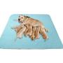KOOLTAIL Washable Pee Pads for Dogs - Waterproof Dog Mat Non-Slip Puppy Potty Training Pads, Reusable Whelping Pads for Dog Crate PlayPen