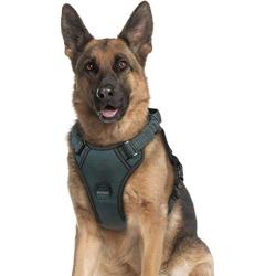 rabbitgoo Dog Harness, No Pull Dog Vest Harness with Shock-Absorbing Bungee Straps, Adjustable Dog Walking Harness with Easy Control Handle, Reflective Pet Vest Harness for Large Medium Dogs