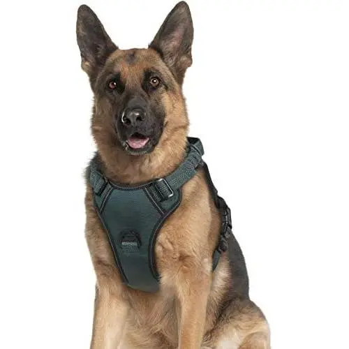 rabbitgoo Dog Harness, No Pull Dog Vest Harness with Shock-Absorbing Bungee Straps, Adjustable Dog Walking Harness with Easy Control Handle, Reflective Pet Vest Harness for Large Medium Dogs rabbitgoo Dog Harness, No Pull Dog Vest Harness with Shock-Absorbing Bungee Straps, Adjustable Dog Walking Harness with Easy Control Handle, Reflective Pet Vest Harness for Large Medium Dogs