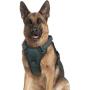 rabbitgoo Dog Harness, No Pull Dog Vest Harness with Shock-Absorbing Bungee Straps, Adjustable Dog Walking Harness with Easy Control Handle, Reflective Pet Vest Harness for Large Medium Dogs
