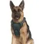 rabbitgoo Dog Harness, No Pull Dog Vest Harness with Shock-Absorbing Bungee Straps, Adjustable Dog Walking Harness with Easy Control Handle, Reflective Pet Vest Harness for Large Medium Dogs rabbitgoo Dog Harness, No Pull Dog Vest Harness with Shock-Absorbing Bungee Straps, Adjustable Dog Walking Harness with Easy Control Handle, Reflective Pet Vest Harness for Large Medium Dogs