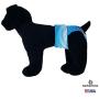 Swim Diapers for Hydrotherapy Dogs - Made in USA - Blue Stripes Waterproof Swim Diaper for Dogs