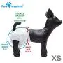 Paw Inspired 32ct Disposable Female Dog Diapers and 36ct Disposable Male Dog Wraps Combo Pack| Puppy Diapers for Female Dog in Heat and Male Dog Belly Bands for Dog Incontinence, Excitable Urinatation Paw Inspired 32ct Disposable Female Dog Diapers and 36ct Disposable Male Dog Wraps Combo Pack| Puppy Diapers for Female Dog in Heat and Male Dog Belly Bands for Dog Incontinence, Excitable Urinatation
