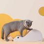 Honey Care Premium Cat Scratcher, Crocodile Shaped Corrugated Cardboard