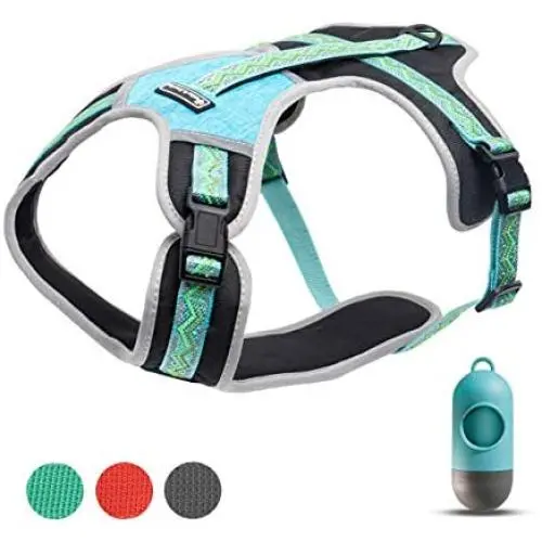 Petties&Sweeties No Pull Dog Harness,2 Leash Hooks,Reflective Adjustable Soft Padded Vest Unique Colors, with a Easy Control Training Handle, with Poop Bags Petties&Sweeties No Pull Dog Harness,2 Leash Hooks,Reflective Adjustable Soft Padded Vest Unique Colors, with a Easy Control Training Handle, with Poop Bags