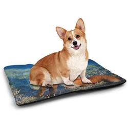 DayDayFun Fox Pet Training Mat Hand Drawn Cute Foxes on Abstract Background with Colorful Dots and Swirls Housebreaking Absorption Pads Orange Seafoam Black