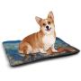 DayDayFun Fox Pet Training Mat Hand Drawn Cute Foxes on Abstract Background with Colorful Dots and Swirls Housebreaking Absorption Pads Orange Seafoam Black