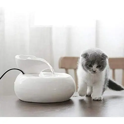 KUANDARM Fountains and Water Features, Pet Automatic Water Dispenser Mute Circulating Water Drinking Fountains for Dogs, White KUANDARM Fountains and Water Features, Pet Automatic Water Dispenser Mute Circulating Water Drinking Fountains for Dogs, White
