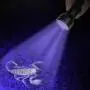 WeTest UV Flashlight Black Light, LED Blacklight Detector For Pet Dog/Cat Urine, Stains, Bed Bug, Pet Odor 2019 WeTest UV Flashlight Black Light, LED Blacklight Detector For Pet Dog/Cat Urine, Stains, Bed Bug, Pet Odor 2019