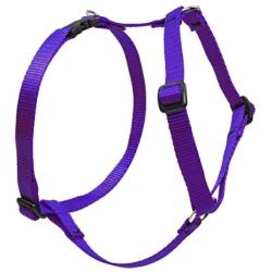 Lupine 1'' Purple Roman Dog Harness