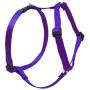 Lupine 1'' Purple Roman Dog Harness