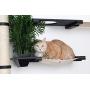 CatastrophiCreations Cat Mod Garden Complex Handcrafted Wall Mounted Cat Tree Shelves with Planter for Cat Grass, English Chestnut/Natural, One Size