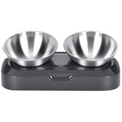 Soly Teche Cat Bowls for Food and Water, Double Cat Bowls with Stand Elevated 15° Tilted Raised Cat Bowl Stainless Bowl for Cats