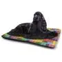 DayDayFun Colorful Cute Pattern Pet Mat Alphabet Background Design with Letter Icons Words Literature Textured Fun Print Pet Mats for Food and Water Multicolor